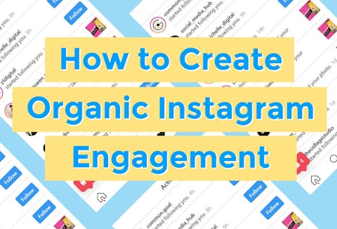 Preview for article How to Create Organic Instagram Engagement By Being Consistent