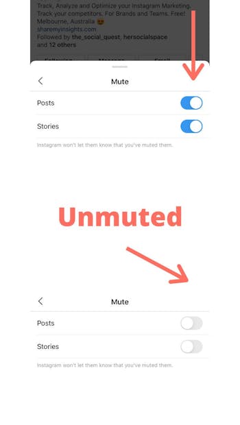 You can choose to unmute posts, stories or both. Toggle them to your preference.