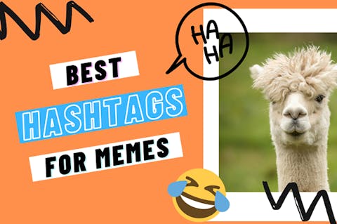 Preview for article Best Meme Hashtags For Followers & Growth – UPDATED 2020