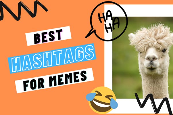 Best meme hashtags