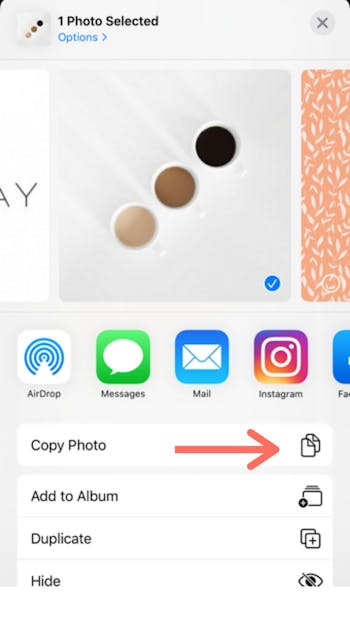 Click on the image options and tap on copy photo