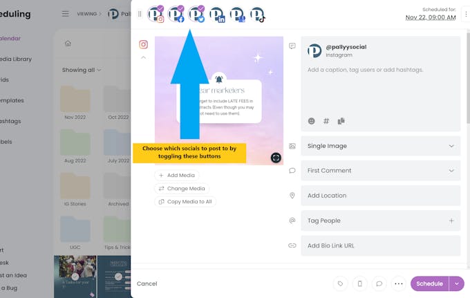 Choose which socials to schedule your post to.