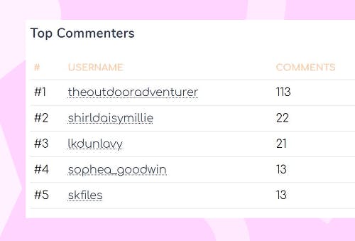Top commenters on Instagram