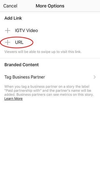 Click the plus url button to add a custom link to a web page on your story