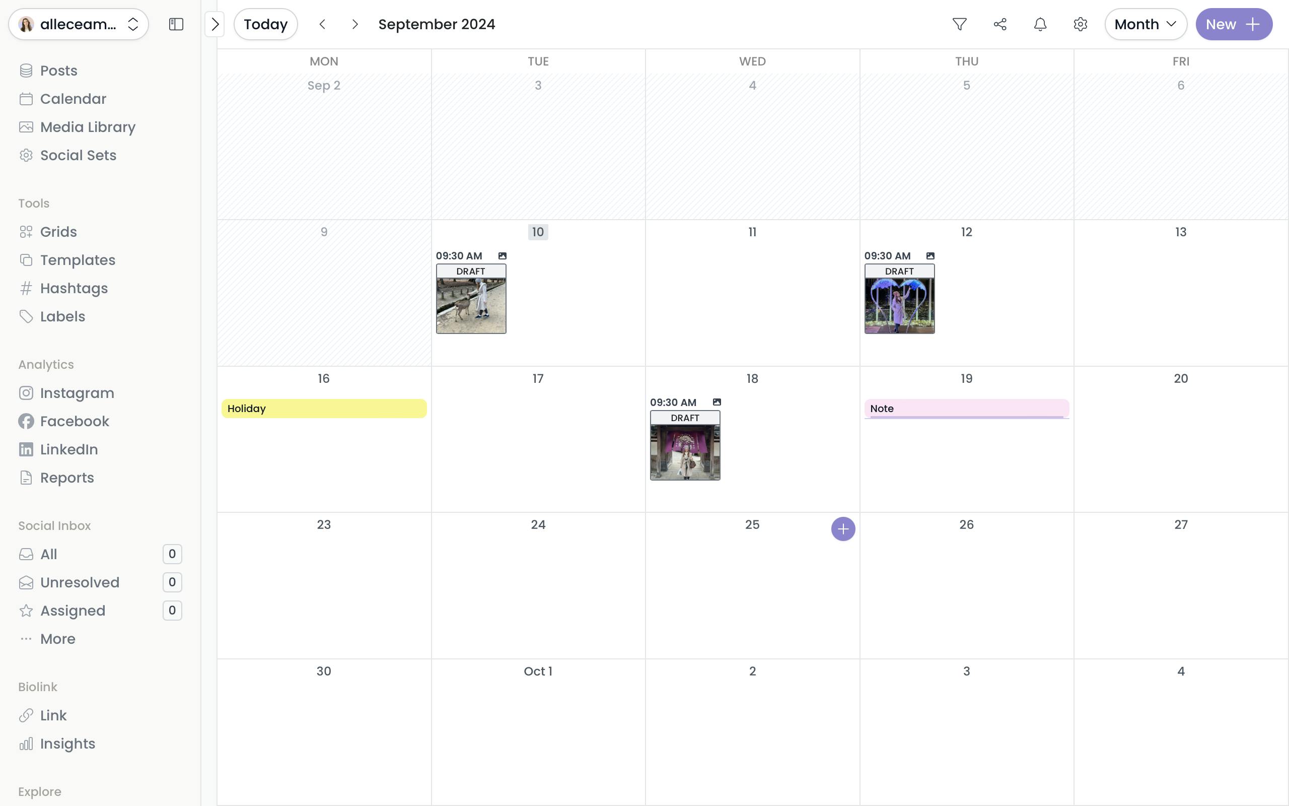 Pallyy Content Calendar View