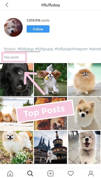 Top hashtags are the most relevant and popular posts under a certain hashtag.
