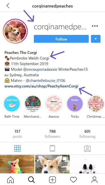 Optimise your instagram bio to help your profile be found