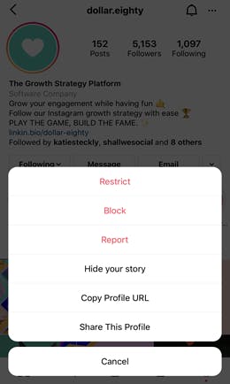 Pop up menu in the instagram app showing the block option.
