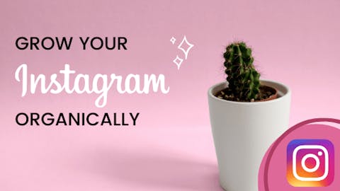 Preview for article 6 Ways to Master Organic Growth on Instagram in 2020