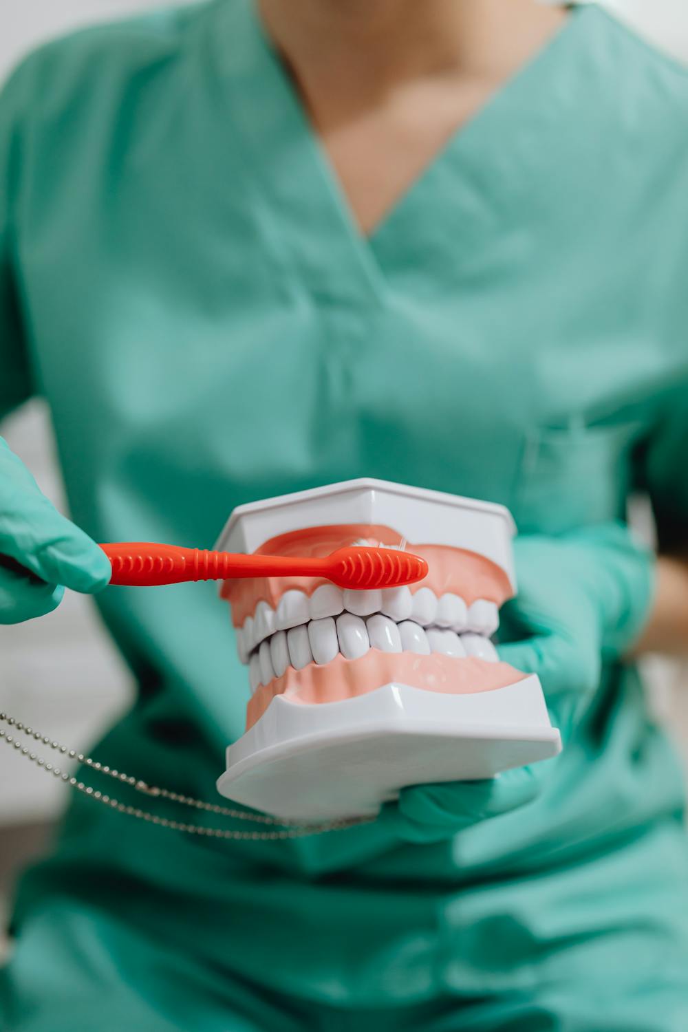 Pic of a dentist demonstrating the importance of brushing teeth regularly