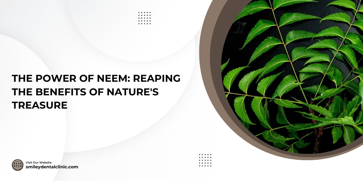 The Power Of Neem: Reaping The 11 Benefits Of Nature's Treasure - blog poster