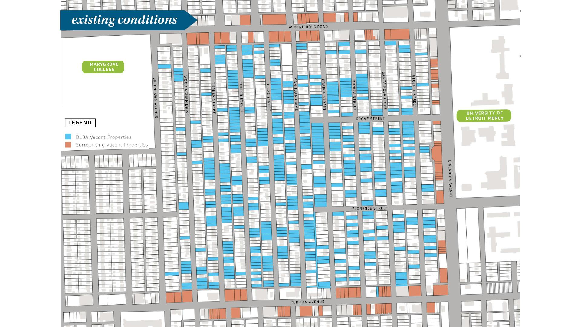 Plan view illustration of Fitzgerald neighborhood with vacant lots highlighted in blue, many vacant lots lay side by side with groupings of 5 or more, only a few are singular.