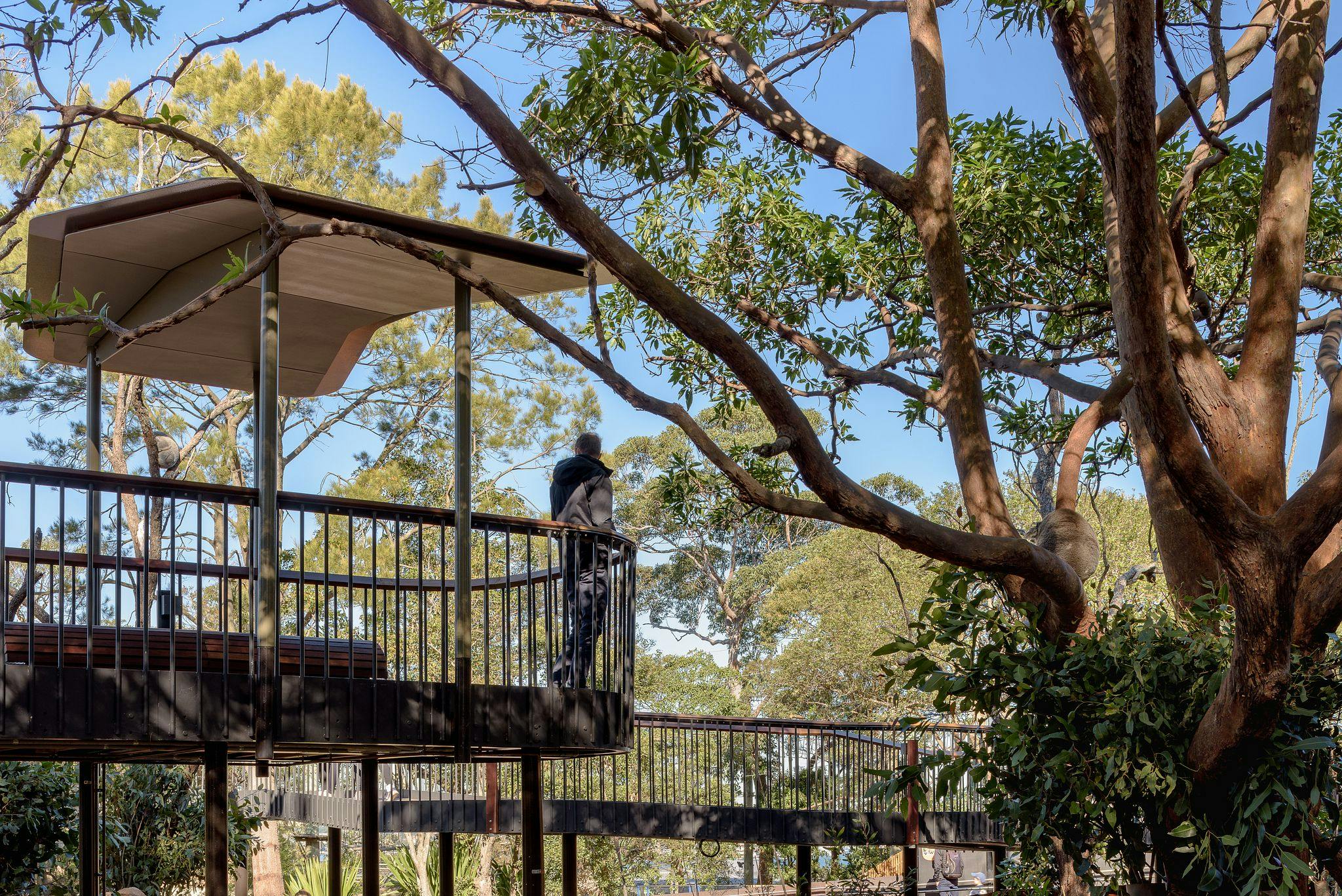 Taronga Zoo Sydney's new immersive Australian Habitat