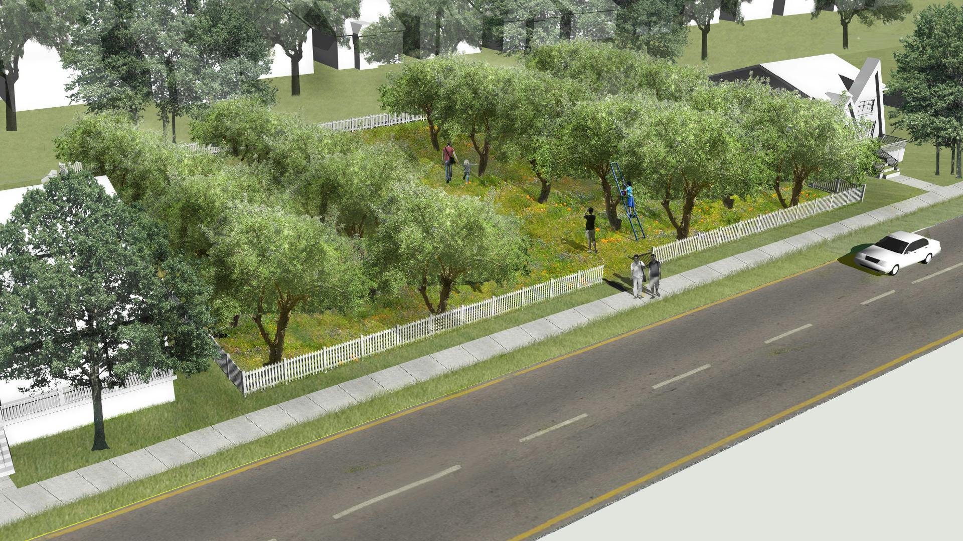 Perspective rendering of a vacant lot transformed into a community orchard.