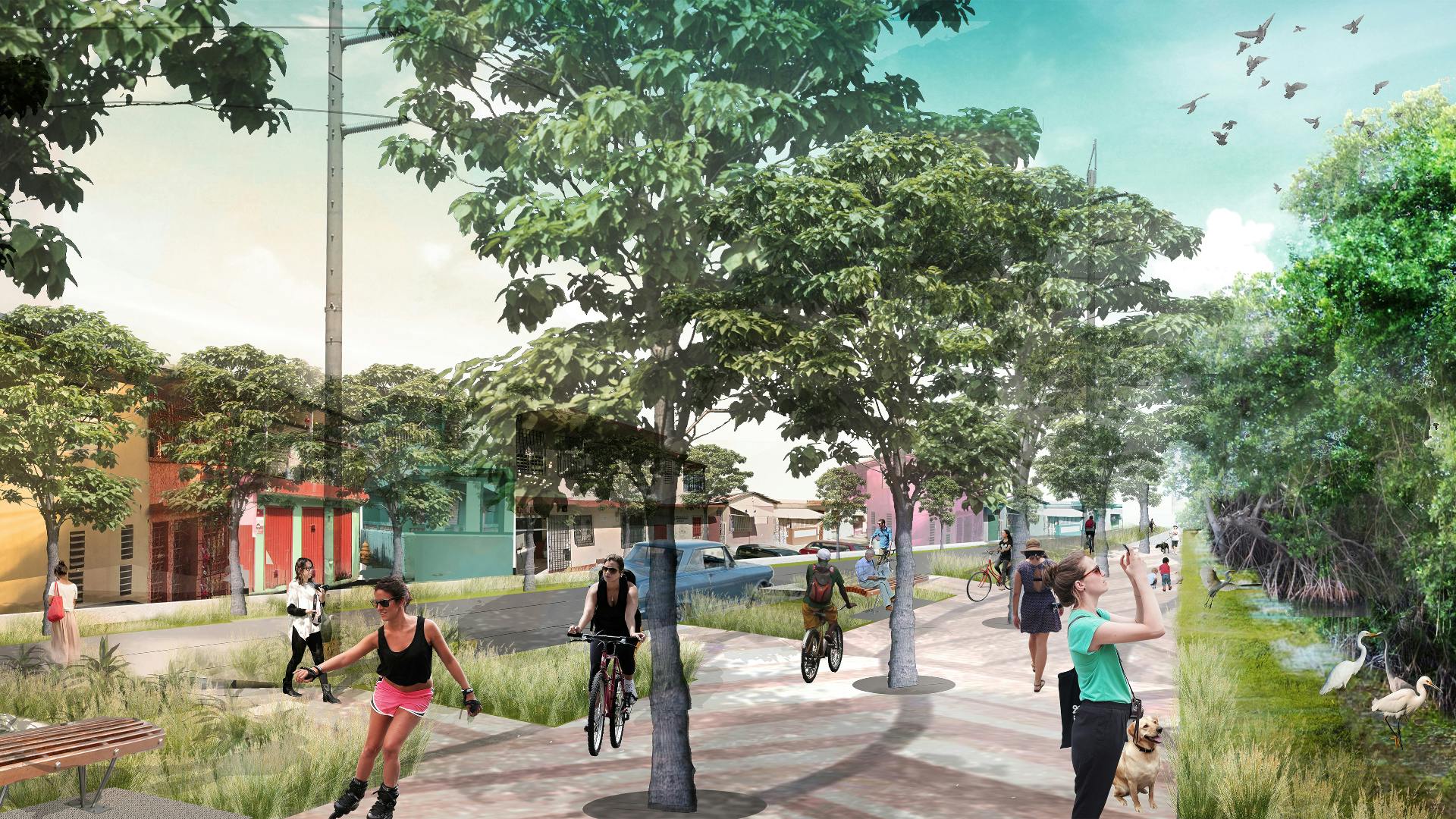 Perspective rendering , cyclist, roller skaters, and pedestrian strolling along a lush bioswale streetscape buffering between road and cyclists, and street trees buffering between cyclists and pedestrians.