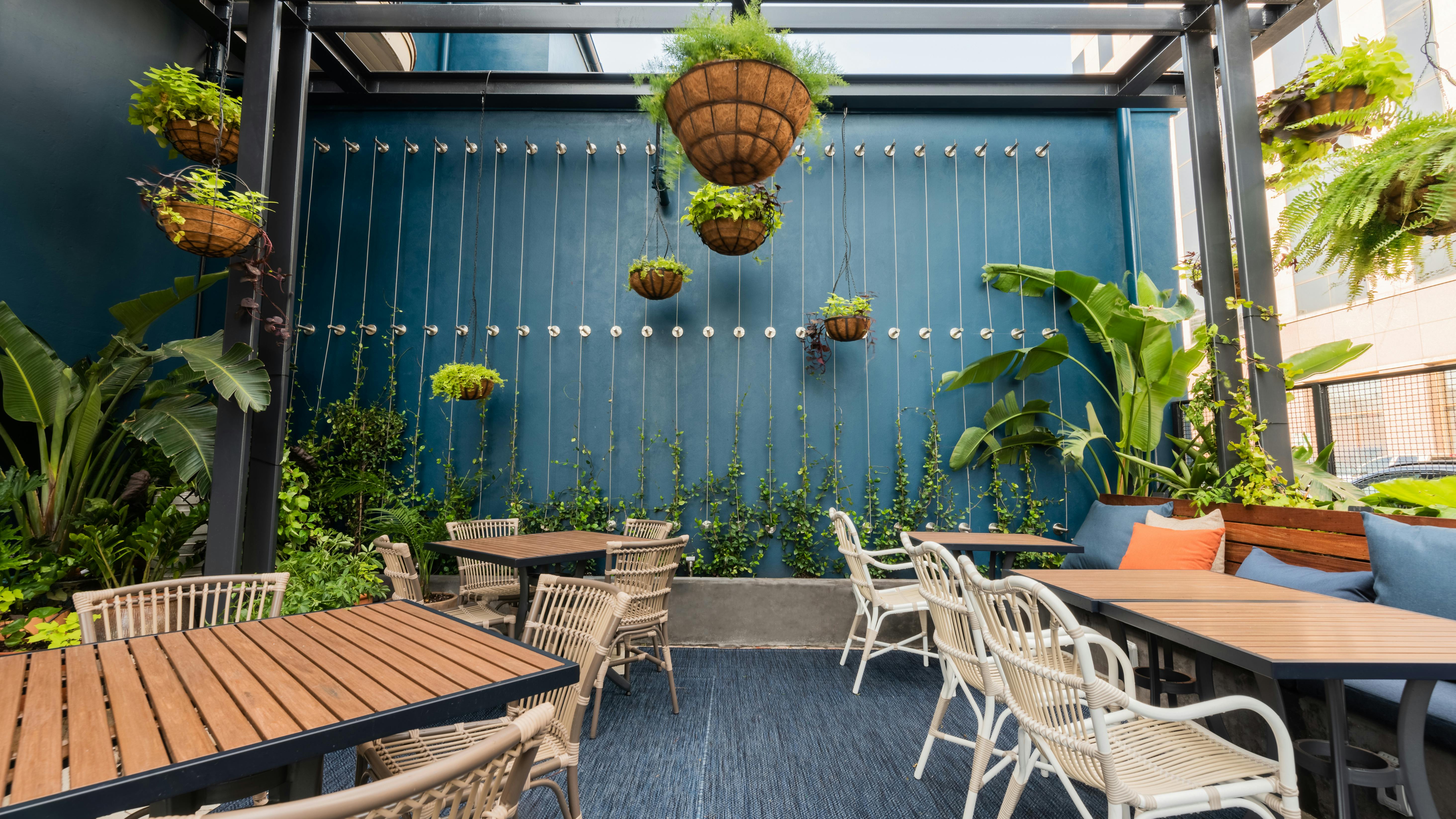 Inside view of courtyard seating, hanging baskets with ferns, lush tropical plantings, star jasmine vines.