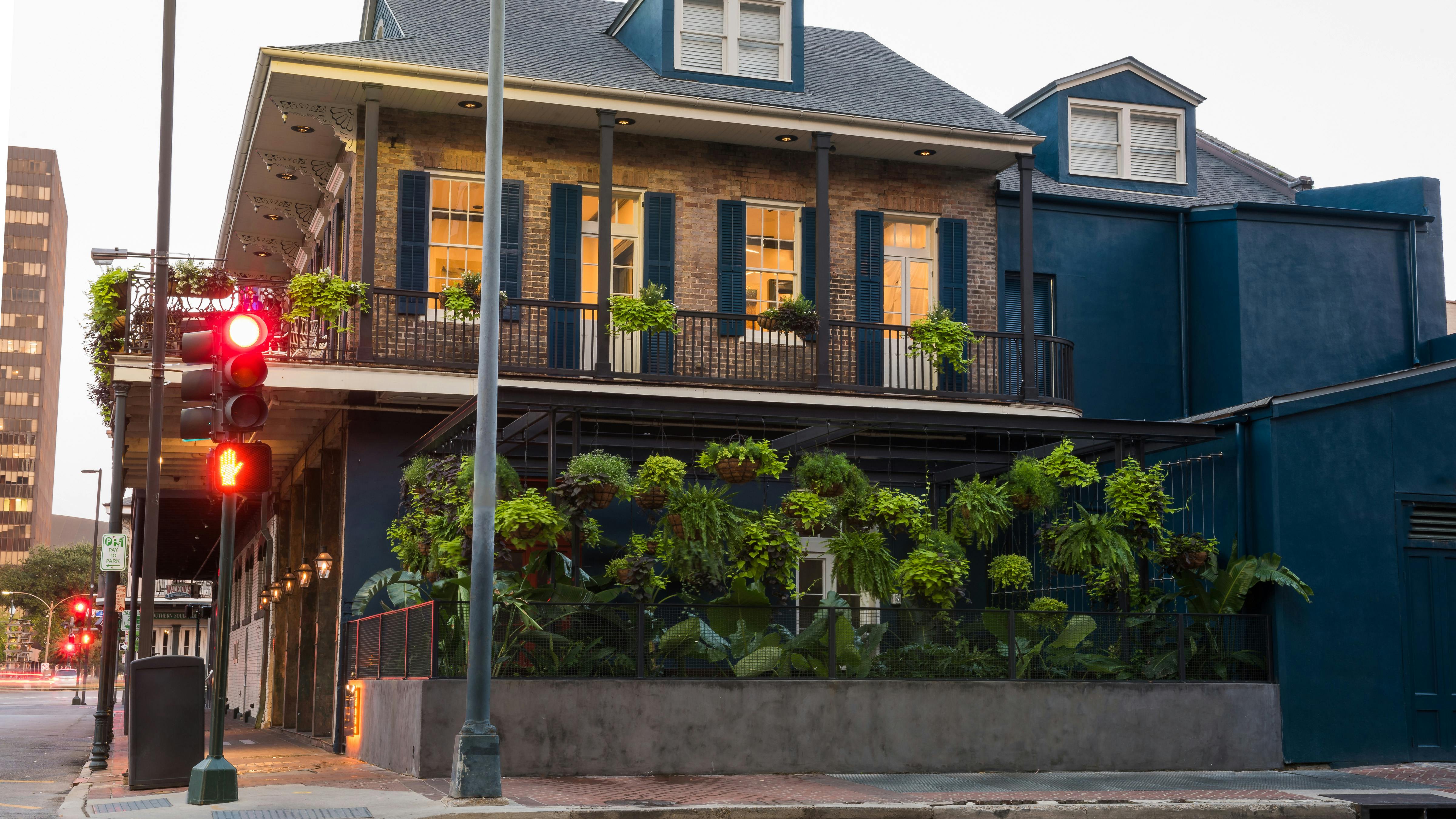 Outside view of lush courtyard with tropical planting bordering inside edges and hanging baskets throughout the courtyard.