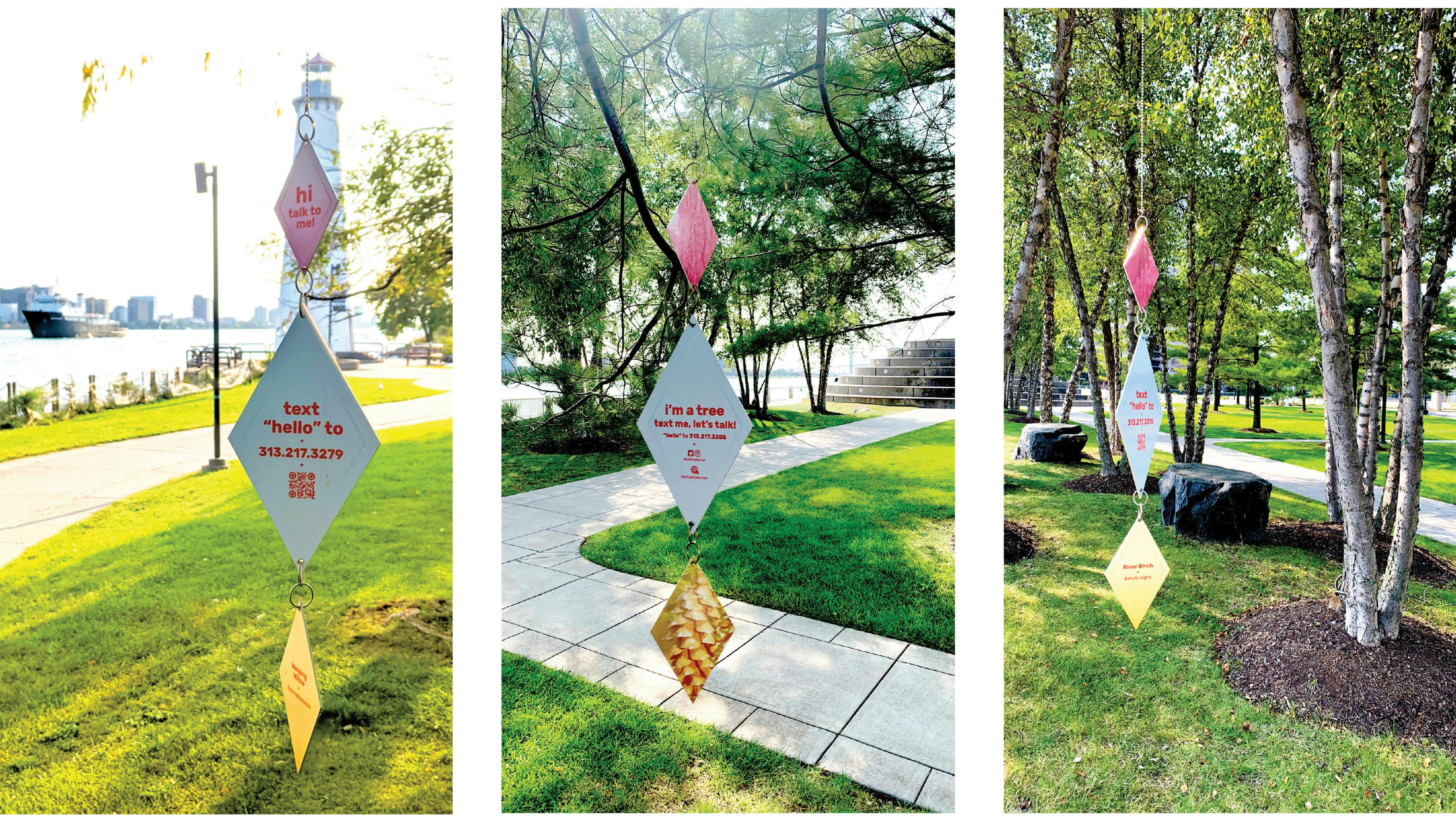 A photograph of installed Talk Tree to Me at their designated tree.