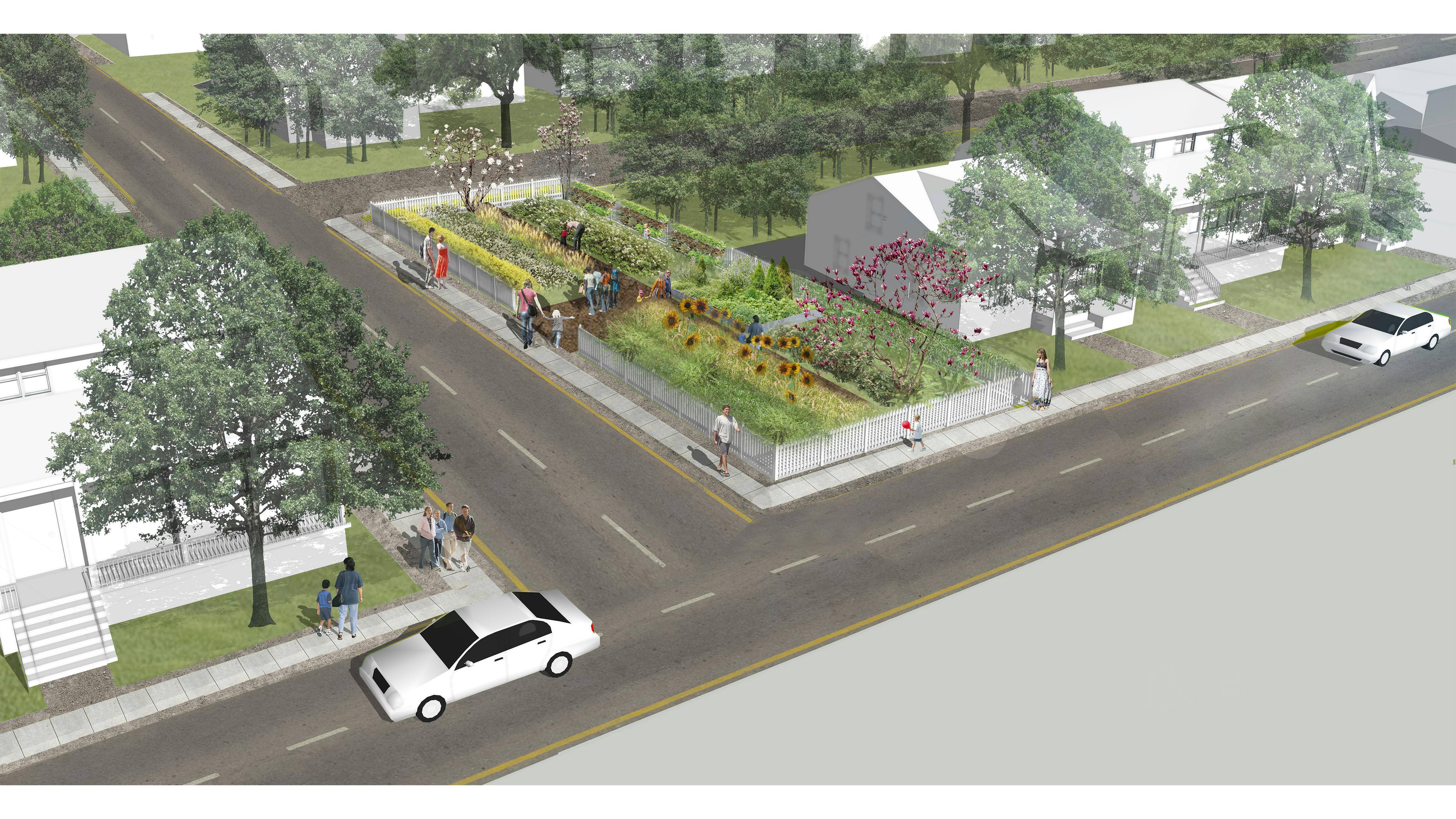 Perspective rendering of a vacant lot transformed into a community garden with sunflowers, ornamental grasses, shrubs, and perennial plants.