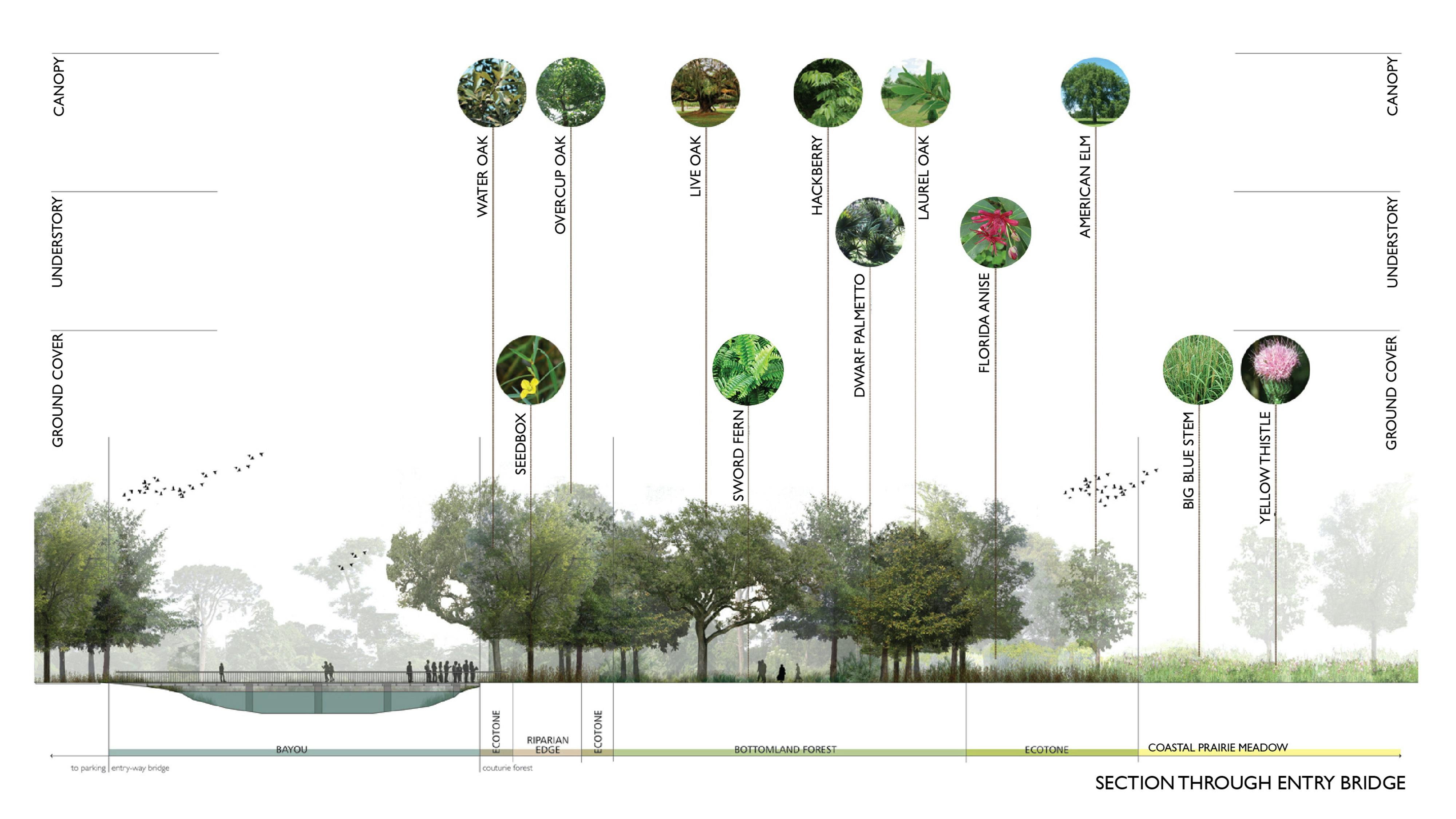 diagram showing ecosystem of a park
