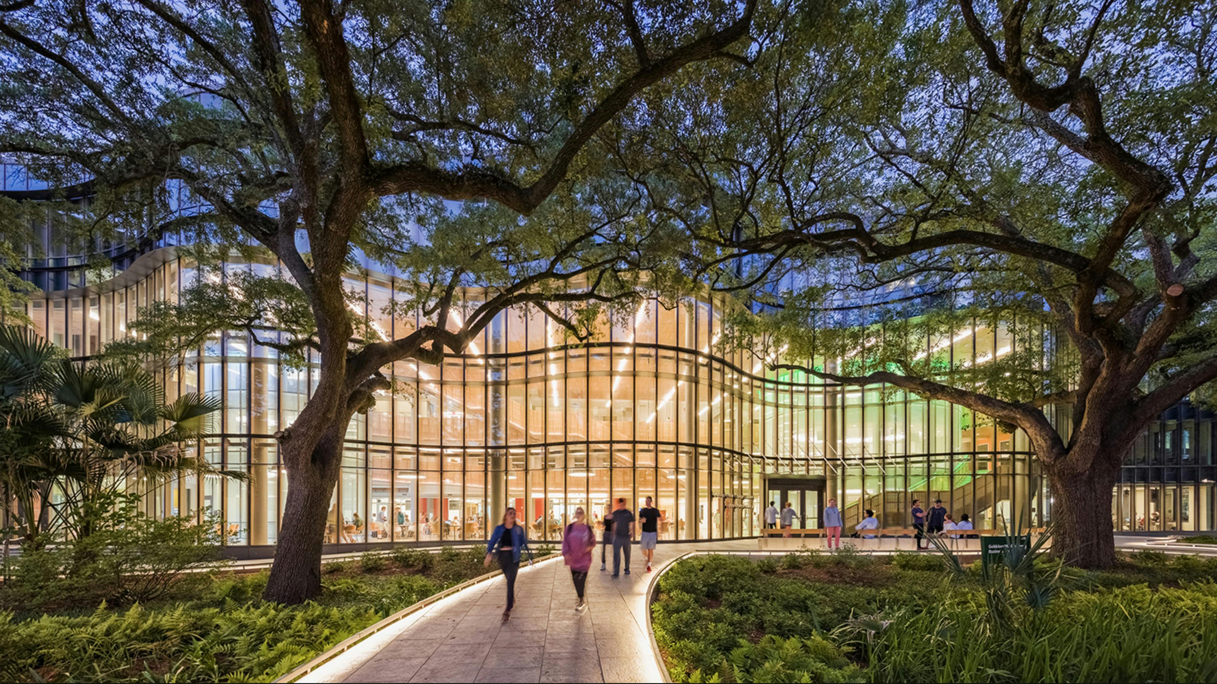 night time view of university building and oak trees