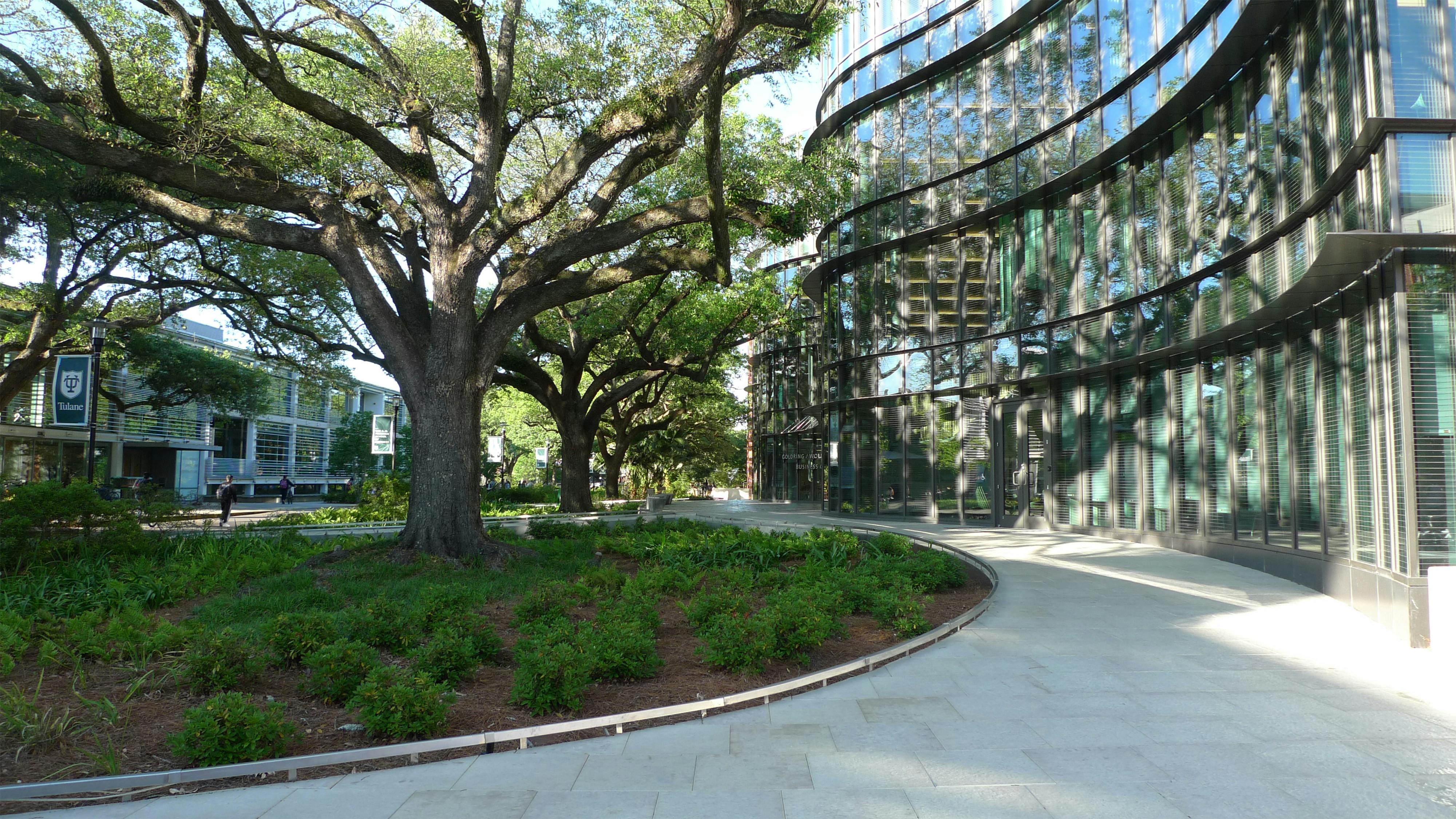 Reinvention and expansion with next generation sustainability