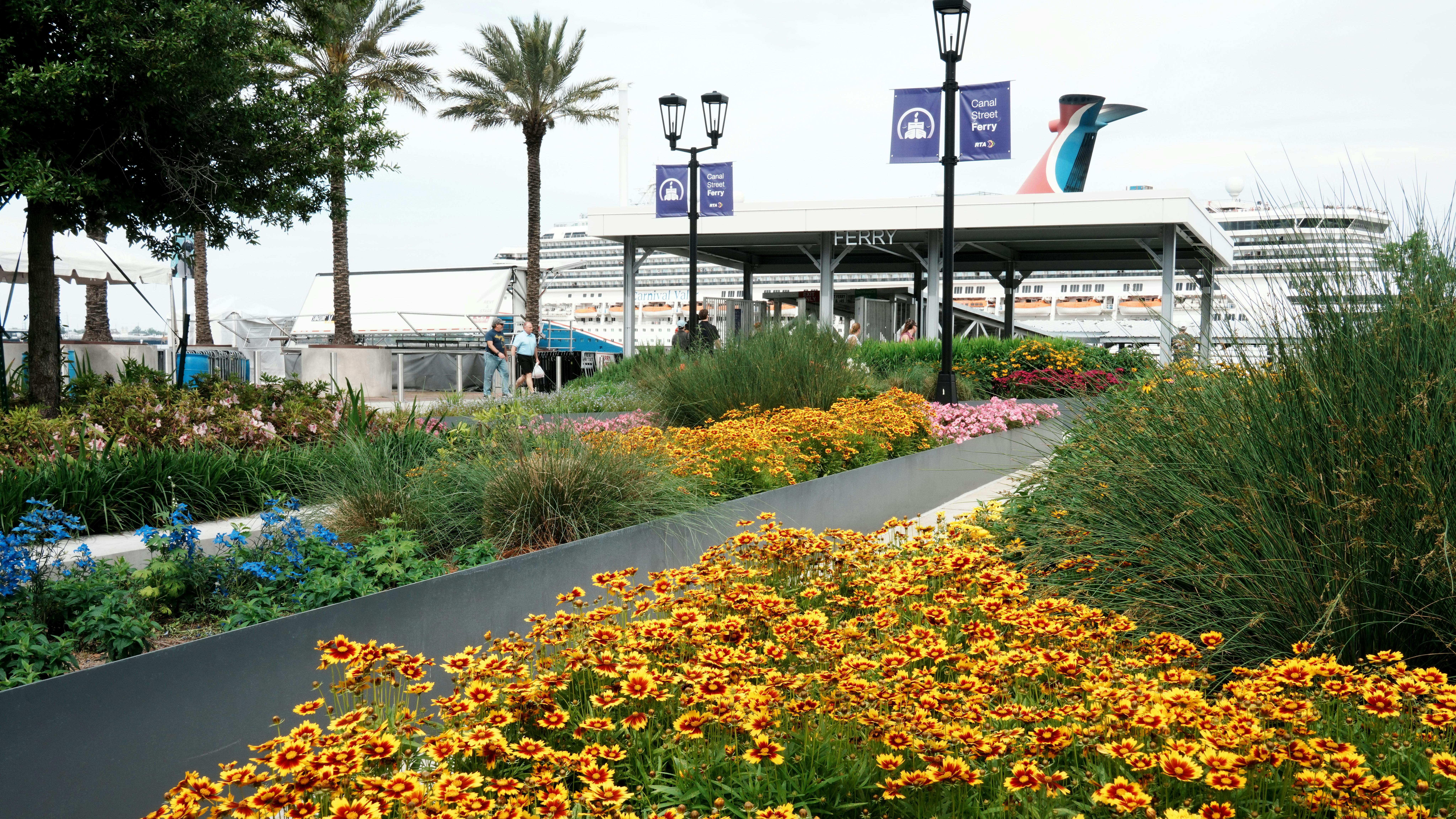 flowers in foreground with ferry loading terminal pavilion in back with cruise ship behind it