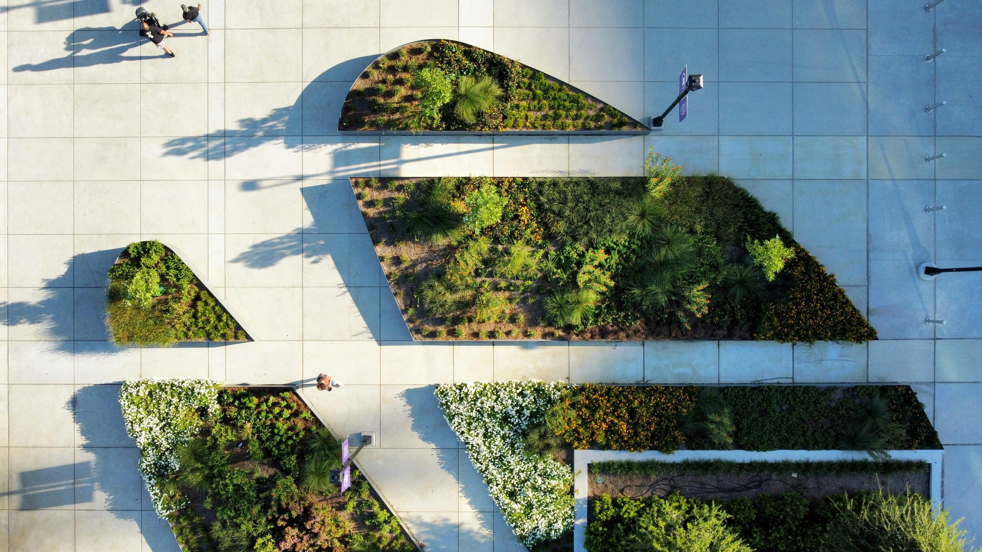 aerial view of planted beds surrounded by concrete in downtown area with people walking through