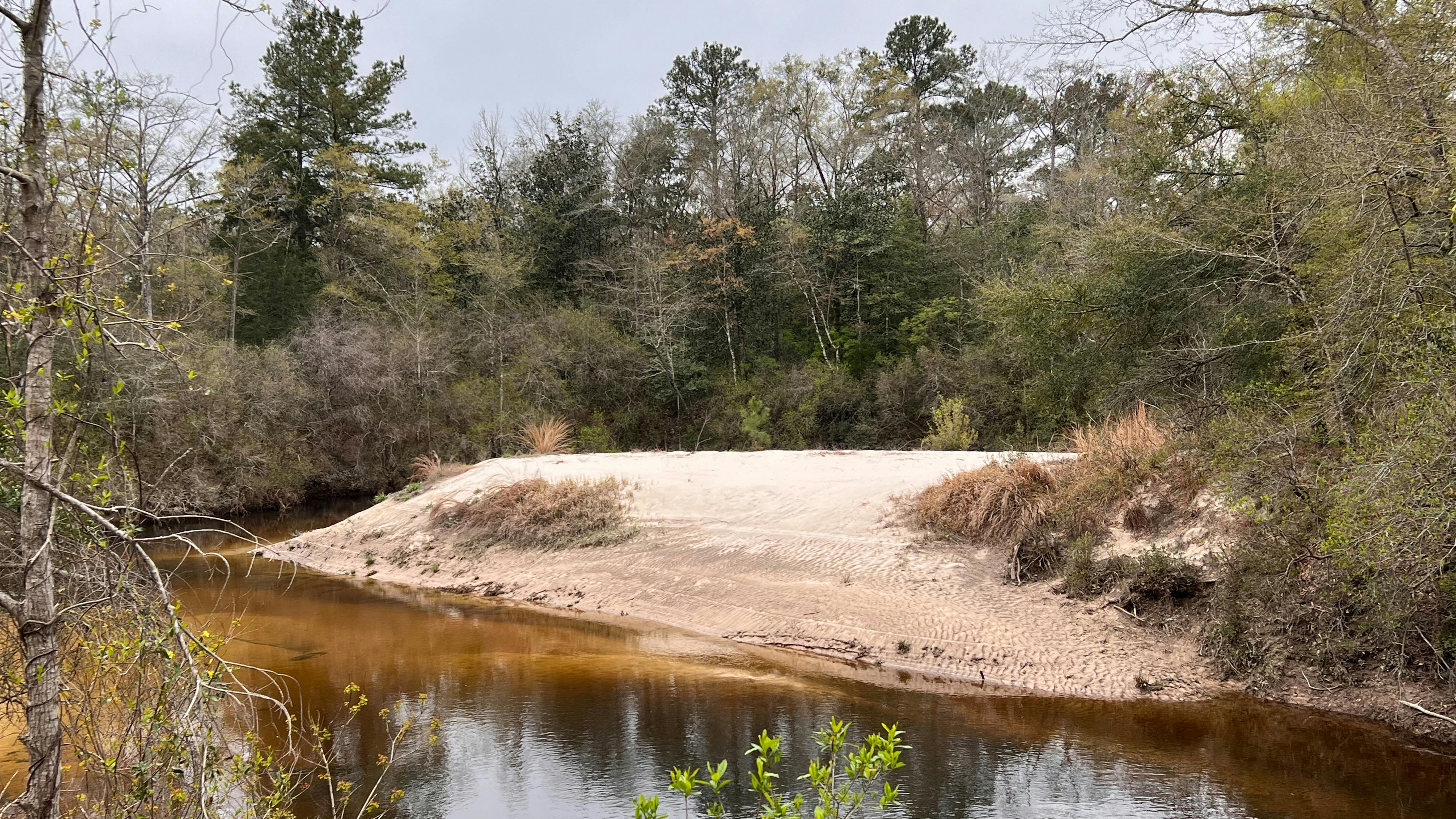 creek with sandbar