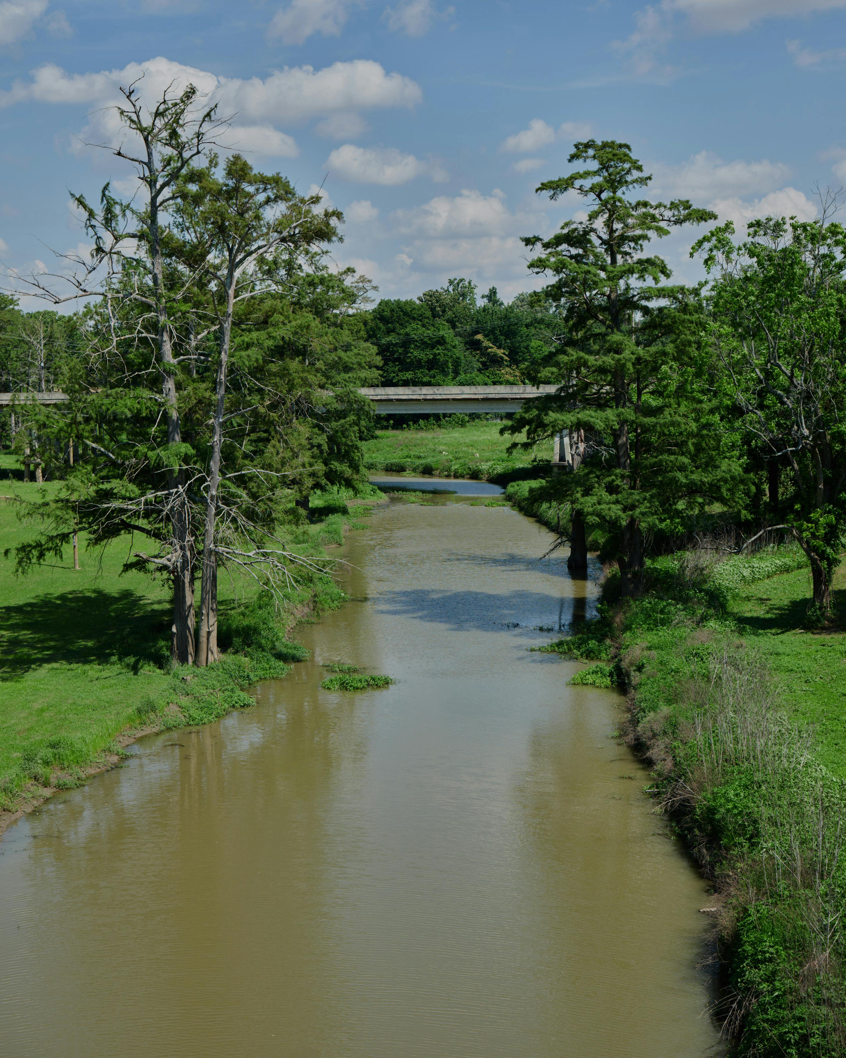 river with grassy banks and bridge in background