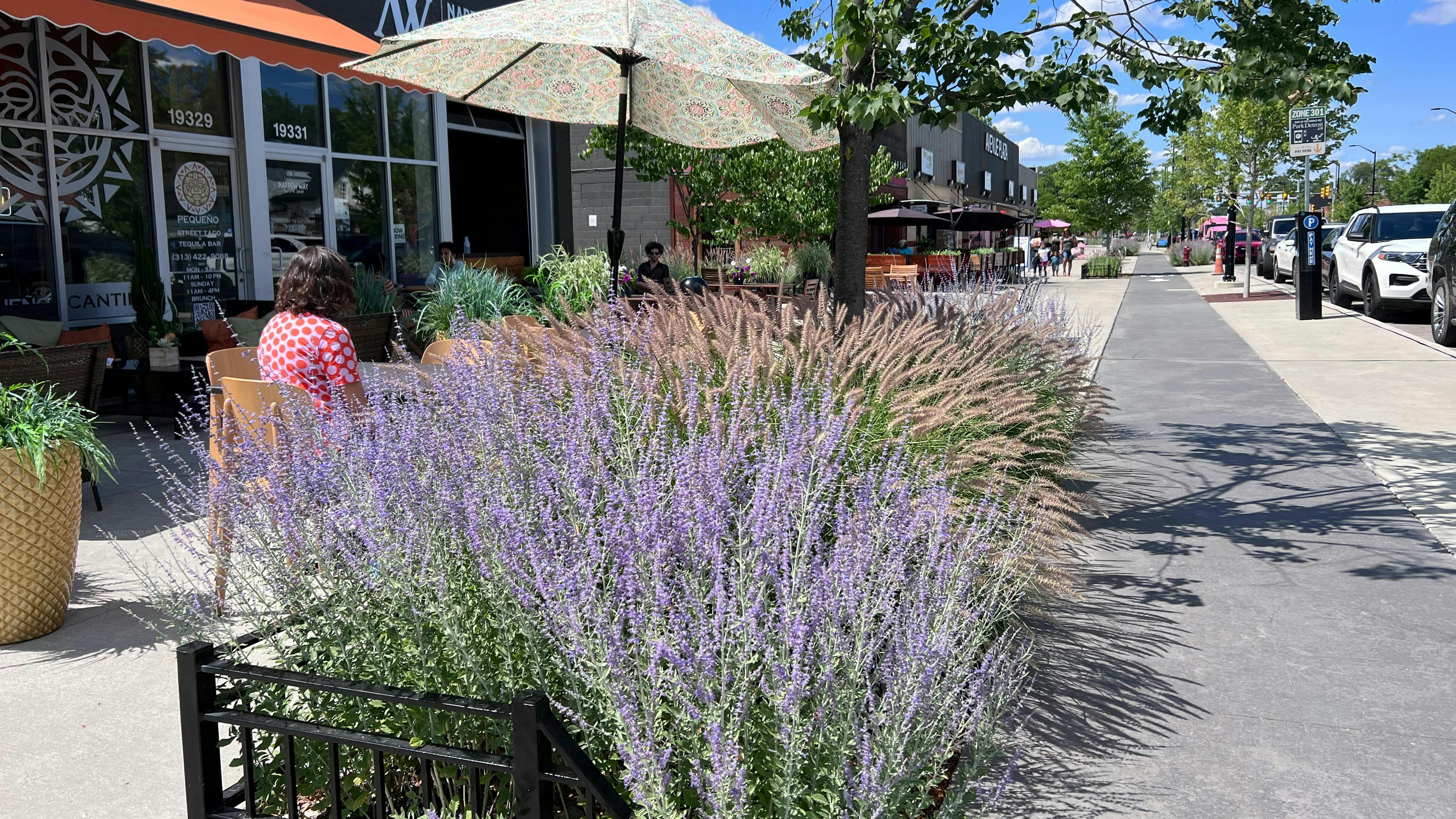 Installed photograph of lush salvia and ornamental grasses dividing outdoor seating outside storefronts and bike lanes.