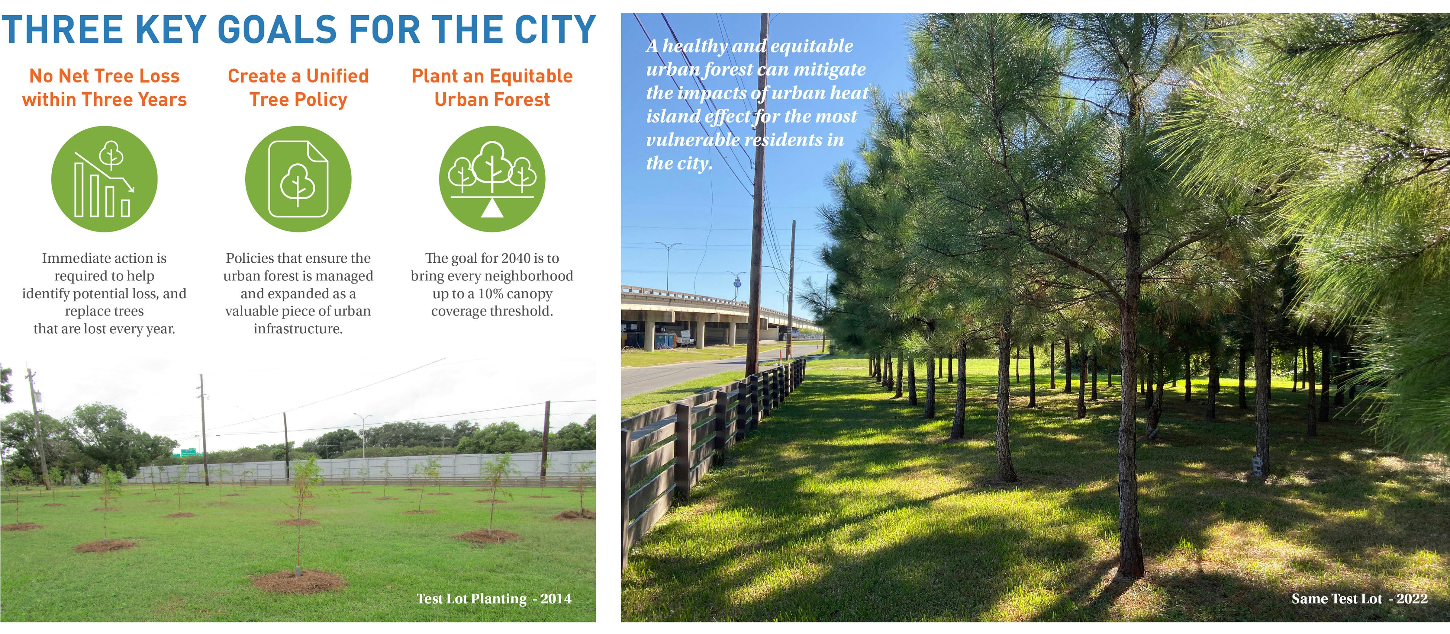The reforestation plan sets three key goals for the city; no net tree loss within three years, create a unified tree policy, and to plant an equitable urban forest.
