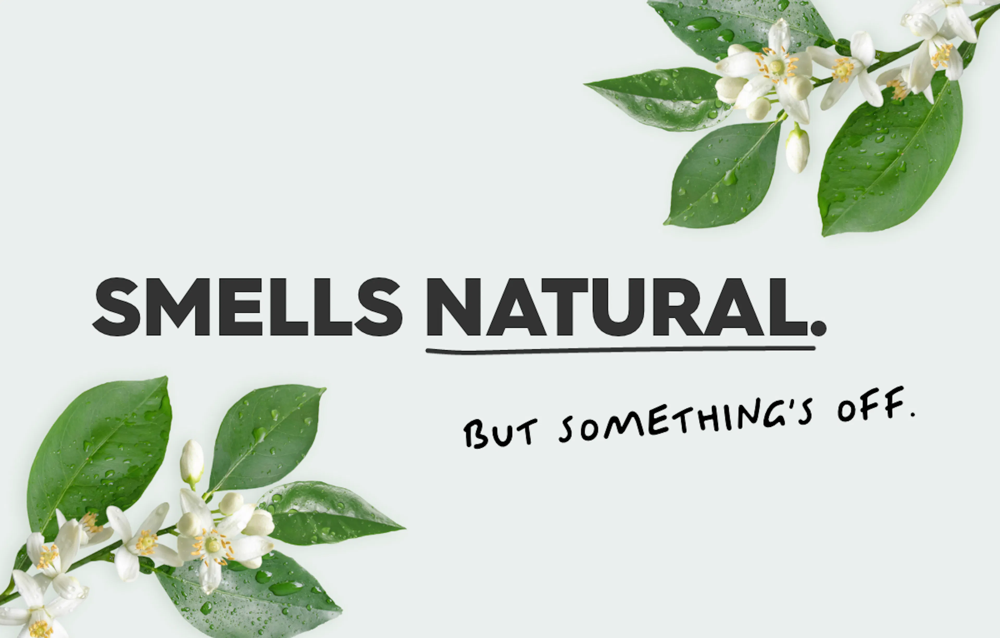 orange blossoms on blank background, text: smells natural, but somethings off.