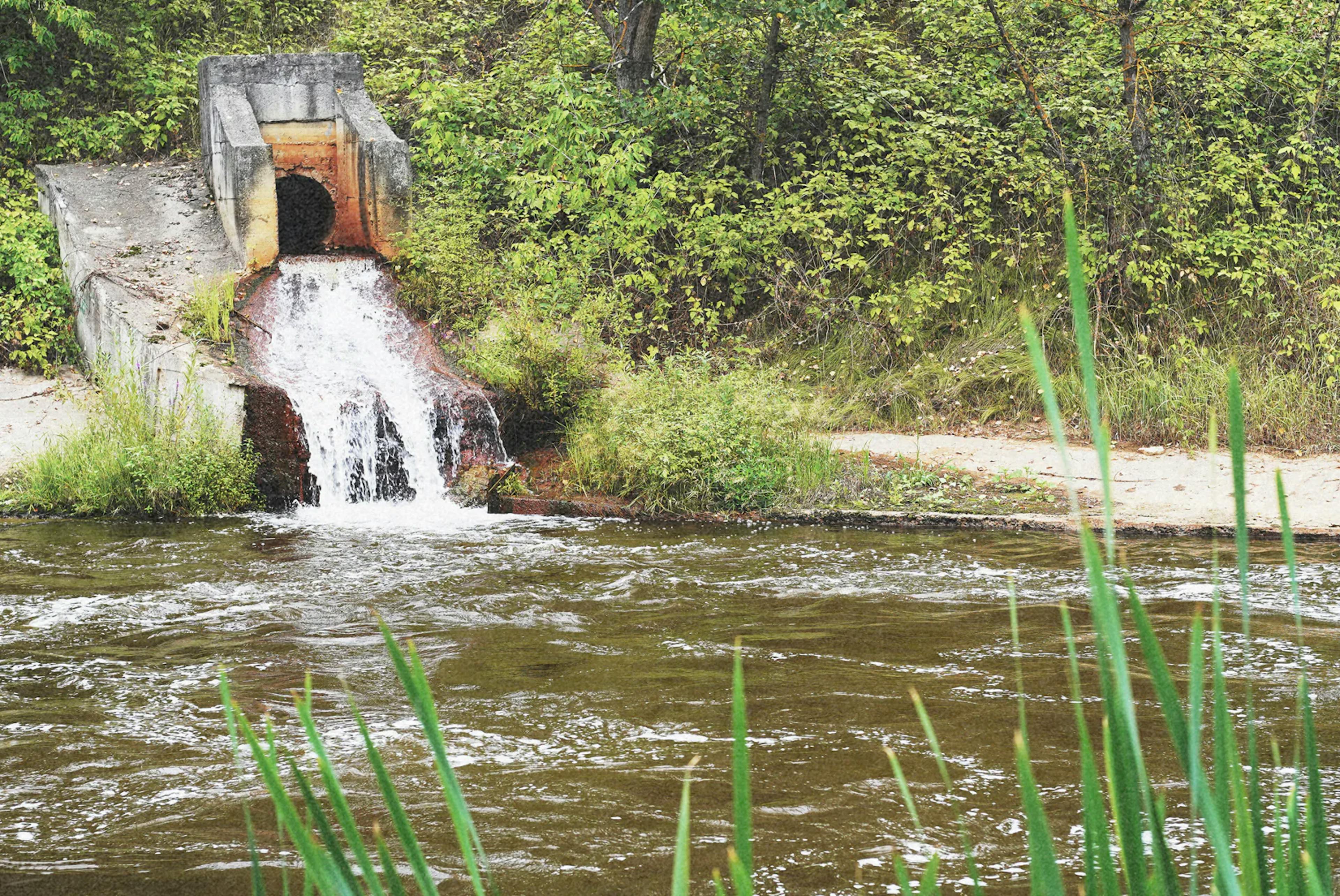 une bouche d’évacuation rejetant de l’eau dans une rivière dans une forêt, représentant la quantité de produits chimiques polluants étant rejetée dans la nature et la cours d’eau.