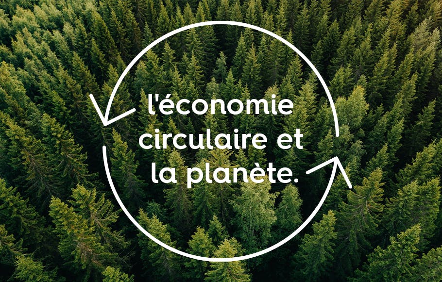 texte « l'économie circulaire et la planète » entourée de deux flêches blanches formant un cercle sur un font d'arbres de forêt.