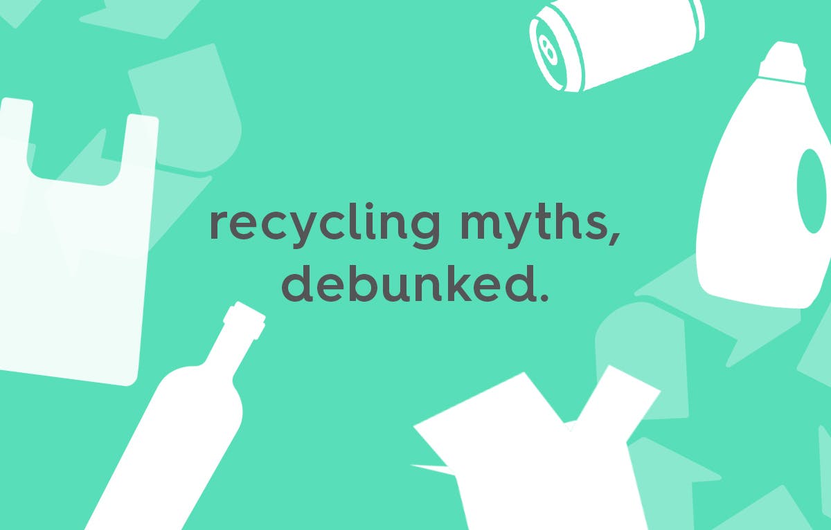 text: recycling myths debunked