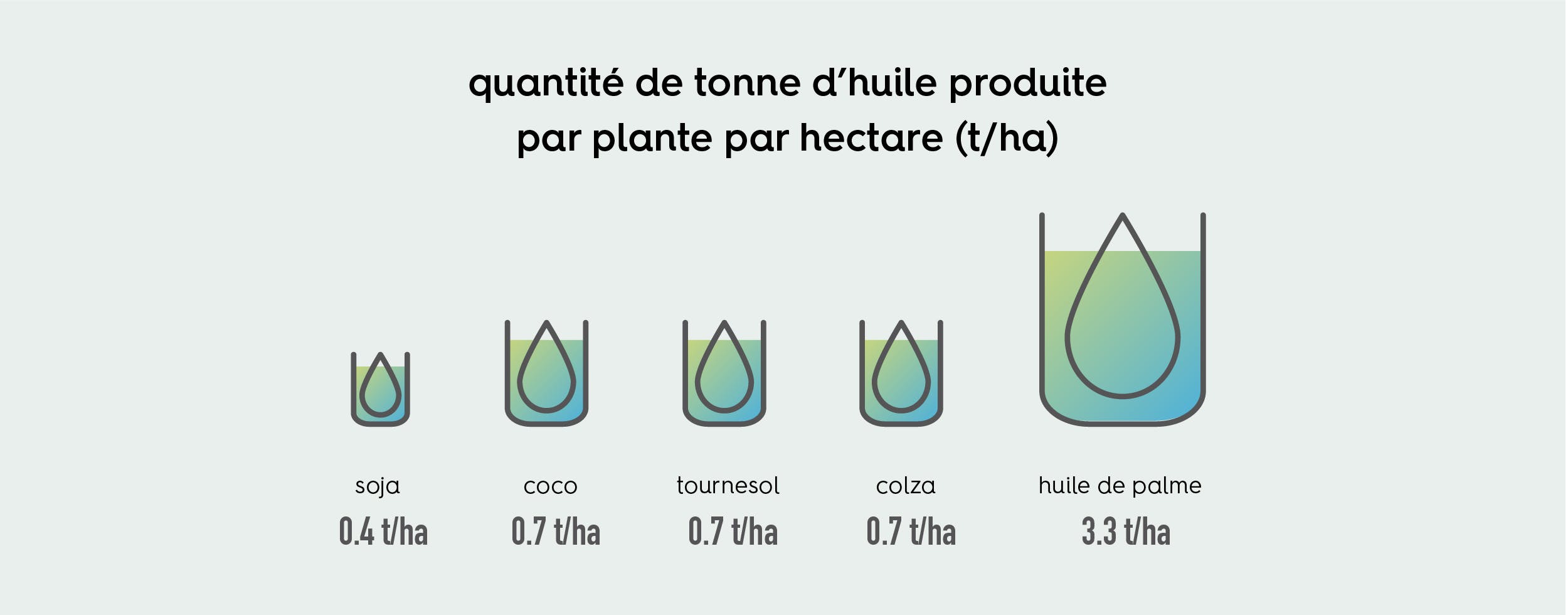 tableau comparatif de la quantité de tonne d'huile produite par plante par hectare pour chaque type d'huile tel que le soja, noix de coco, tournesol, colza et palme.