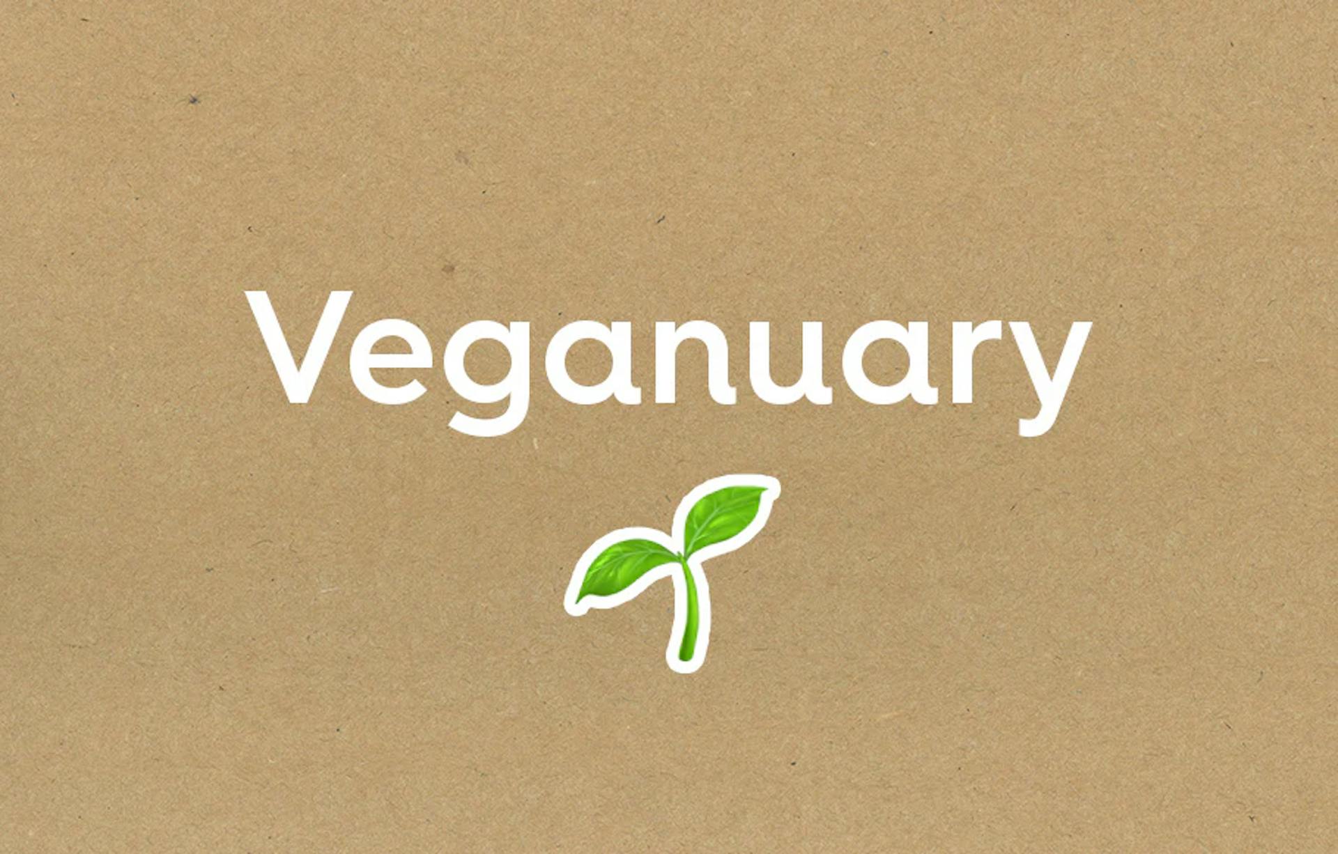 Veganuary in weißer Schrift auf braunem Hintergrund, darunter eine kleine Pflanze