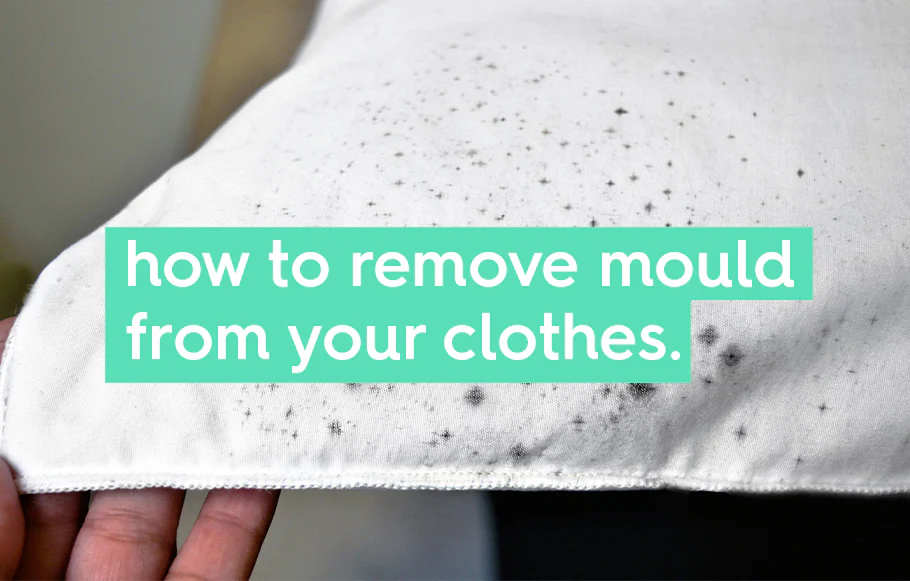 how to remove mould from your clothes.