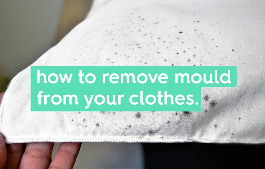 white fabric with small dark spots of mould. text: how to remove mould from your clothes.