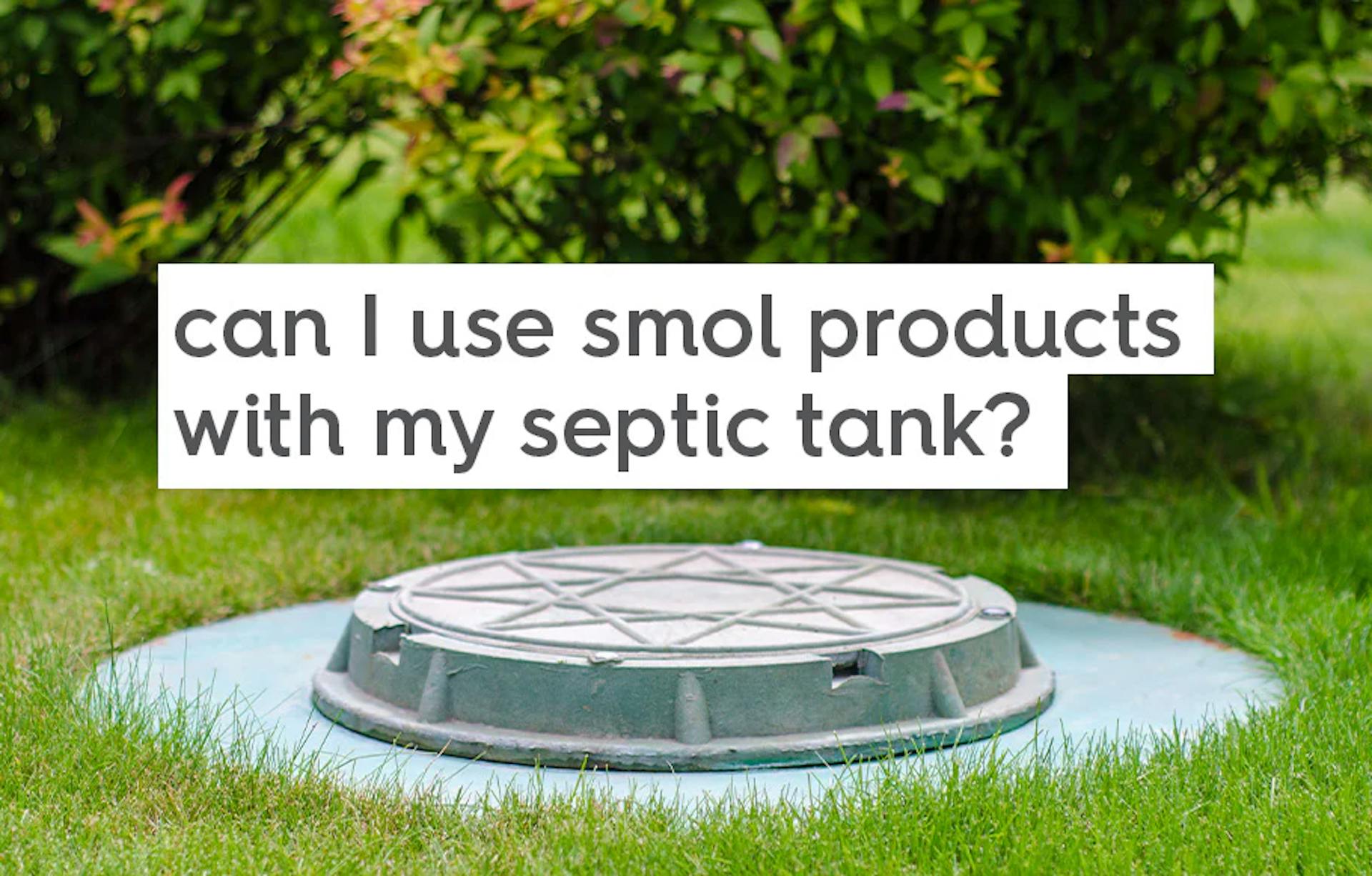 septic tank lid in grass with hedge