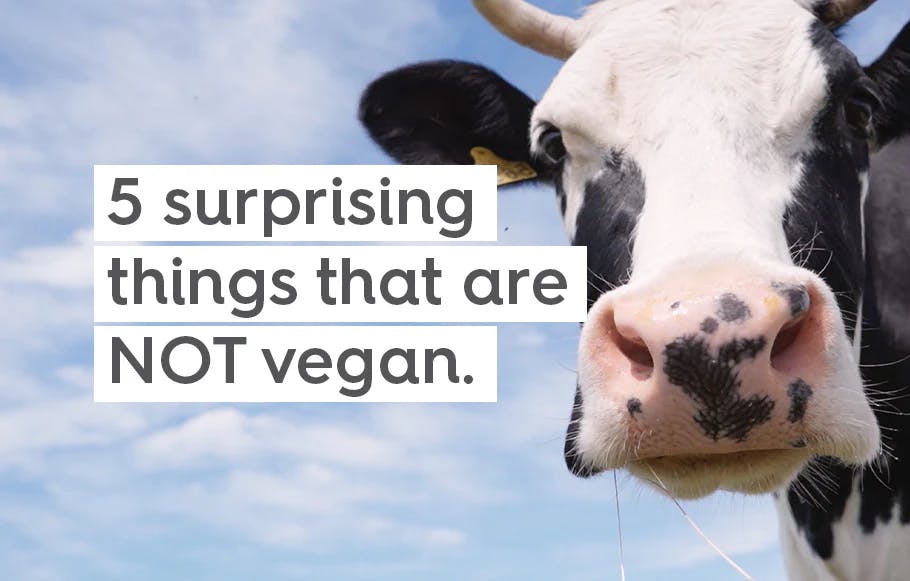 5 surprising things that are NOT vegan.
