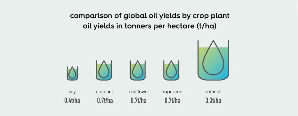 palm oil graph