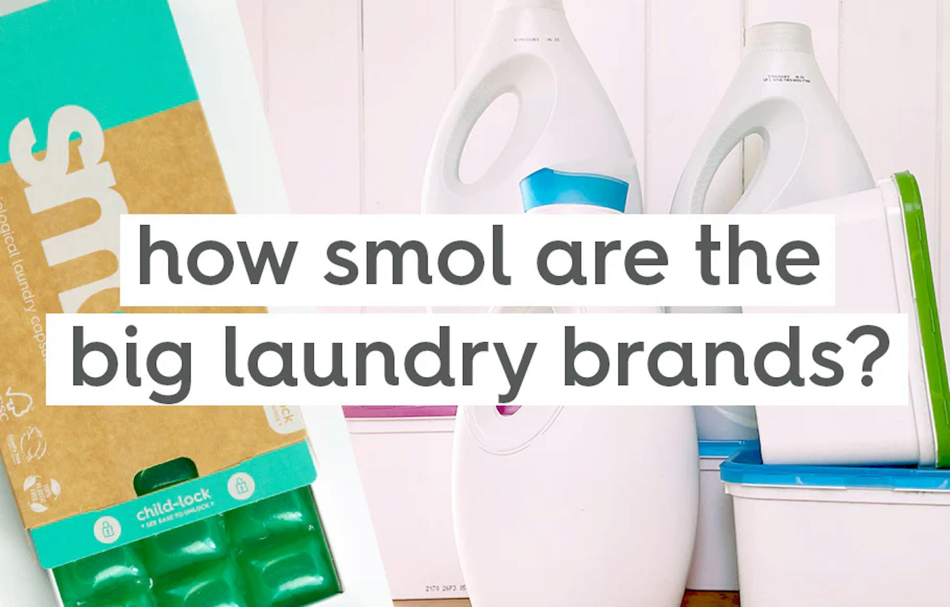 text: how smol are the big laundry brands?