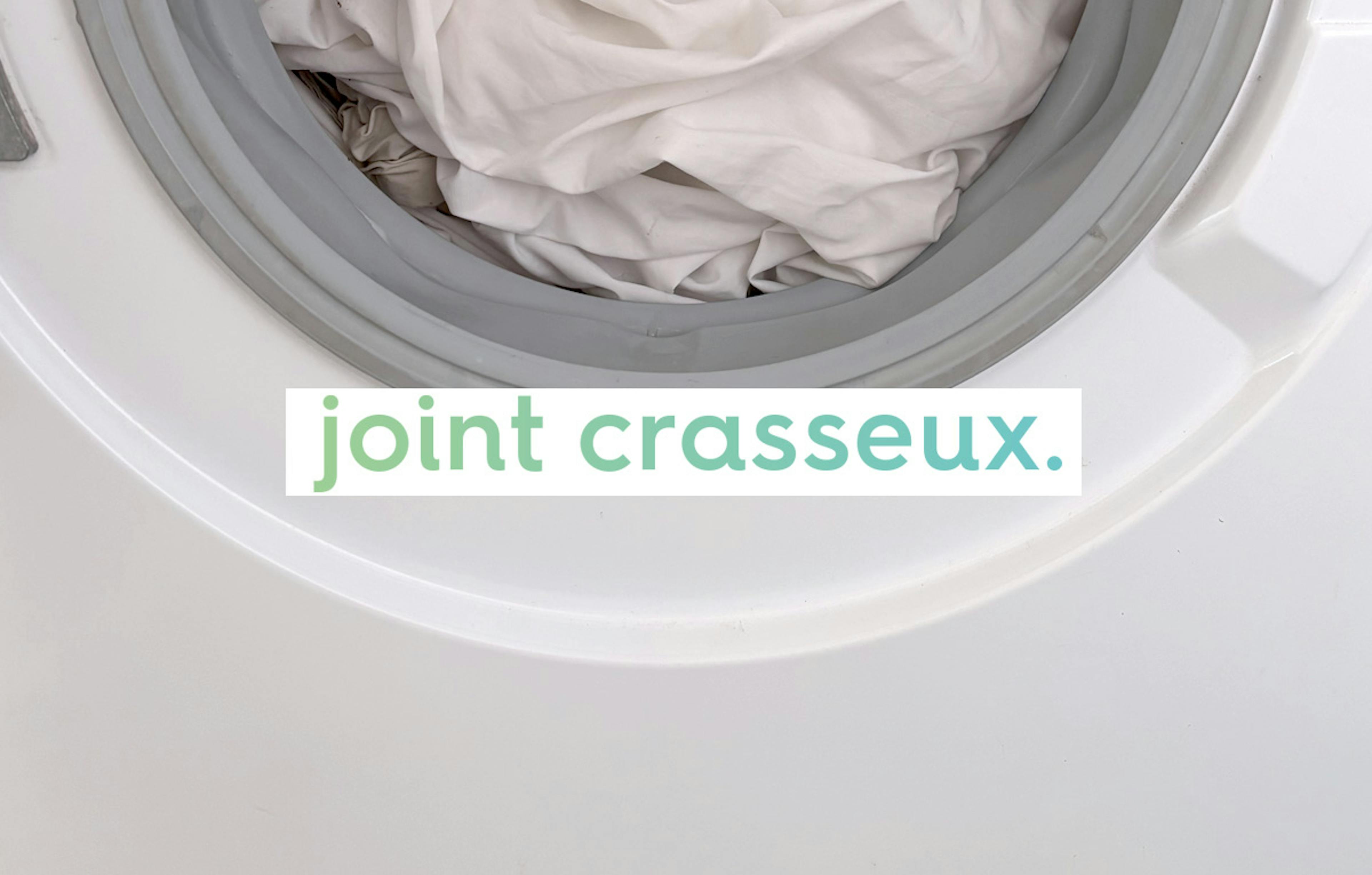 gros plan sur un joint de porte de machine à laver derrière le texte « joint crasseux » en police d'écriture dans un dégradé de vert et bleu sur fond blanc.