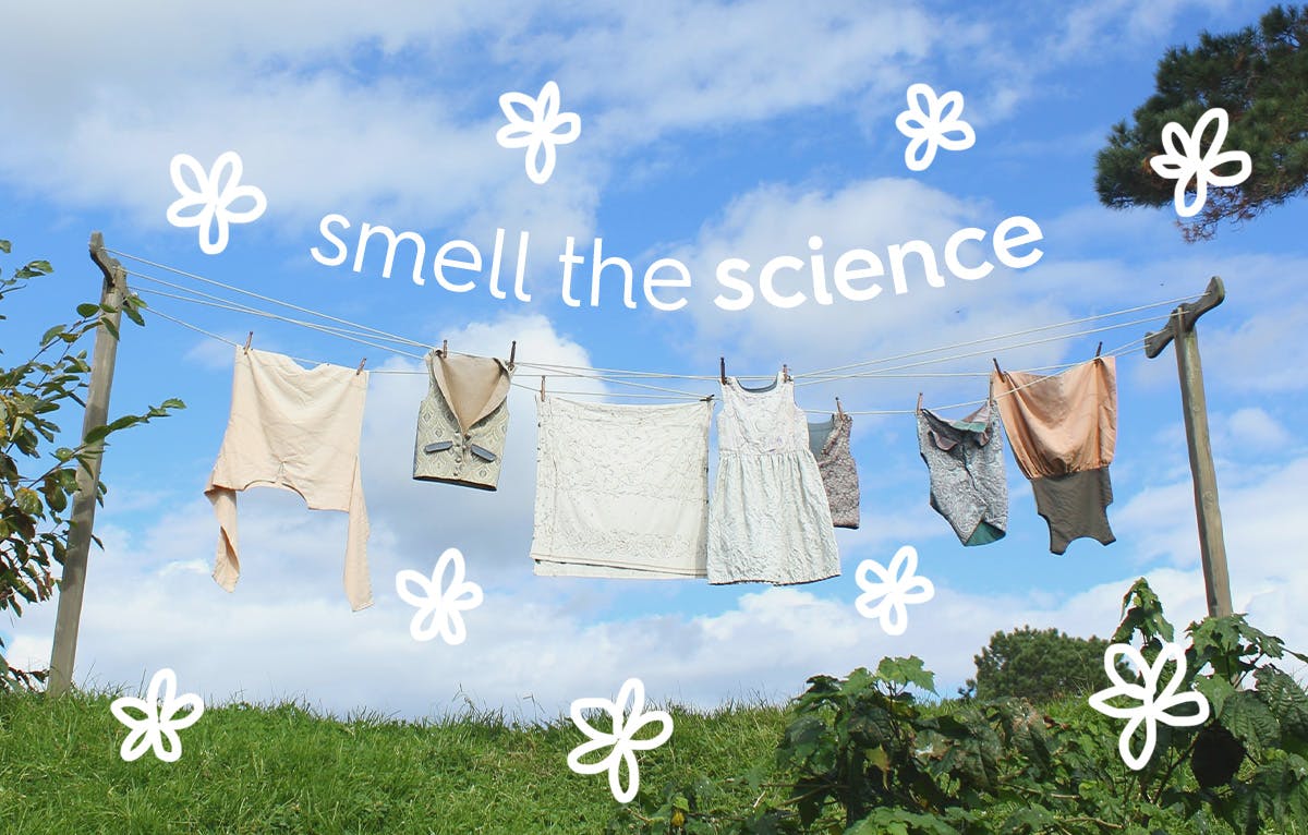laundry on a line. text: smell the science.