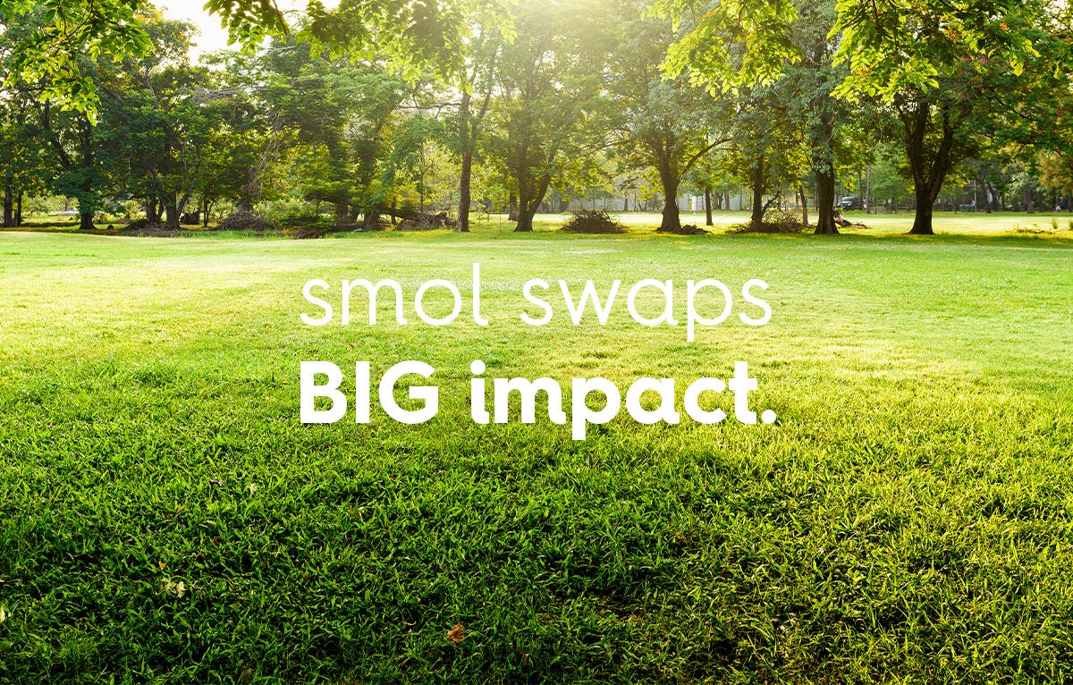 smol swaps BIG impact