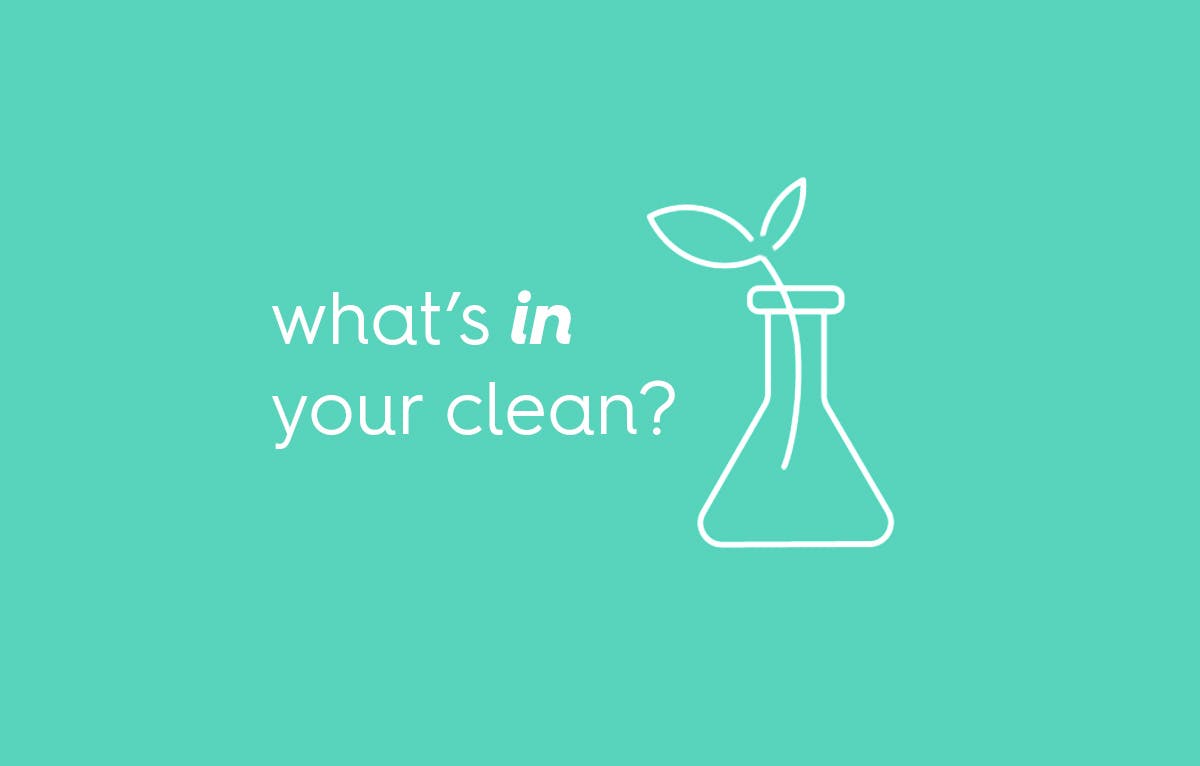 what's in your clean?