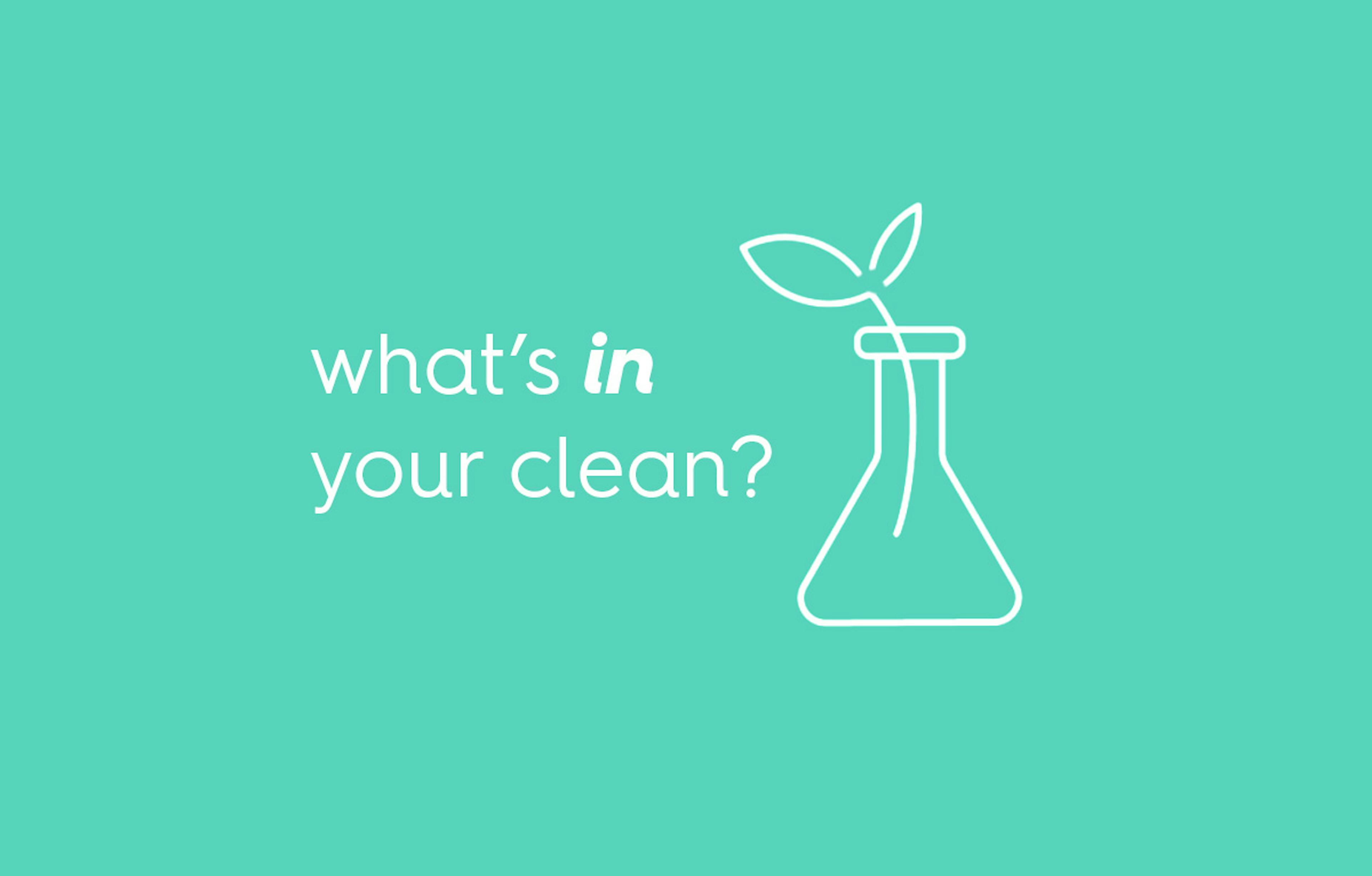 what's in your clean?