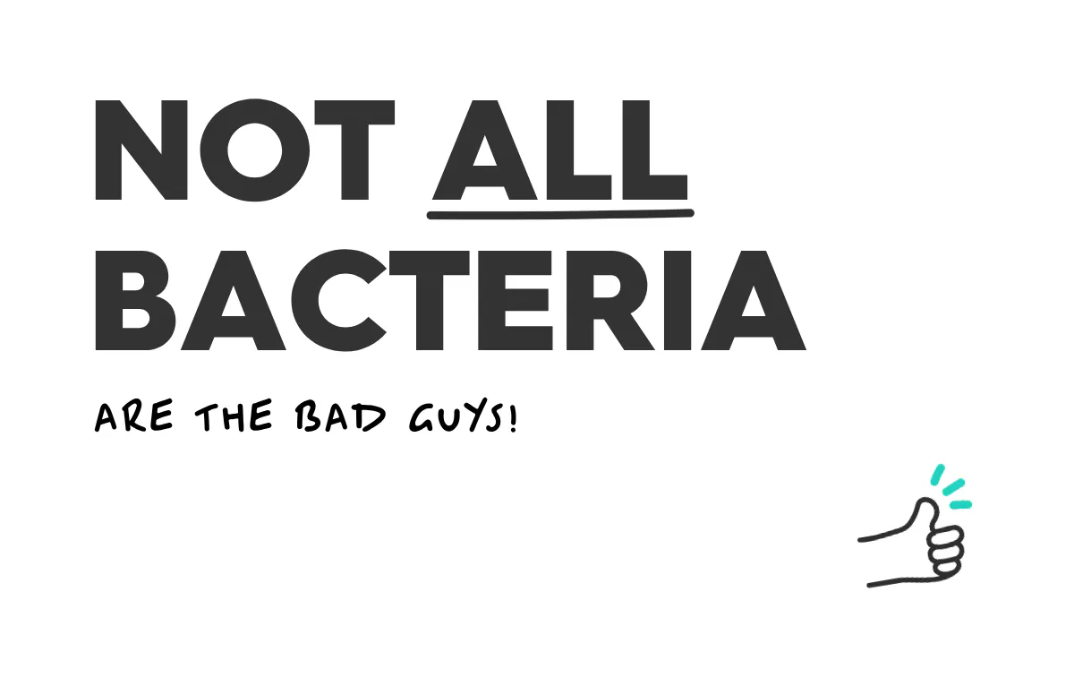 text:not all bacteria are the bad guys!